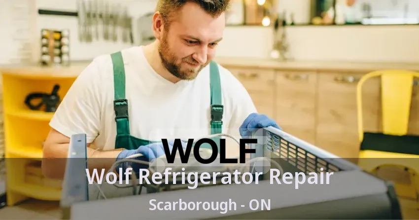 Wolf Refrigerator Repair Scarborough - ON