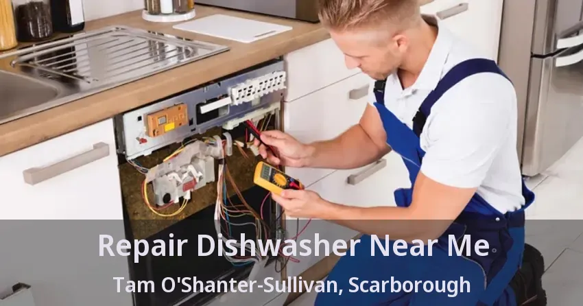 Repair Dishwasher Near Me Tam O'Shanter-Sullivan, Scarborough - ON