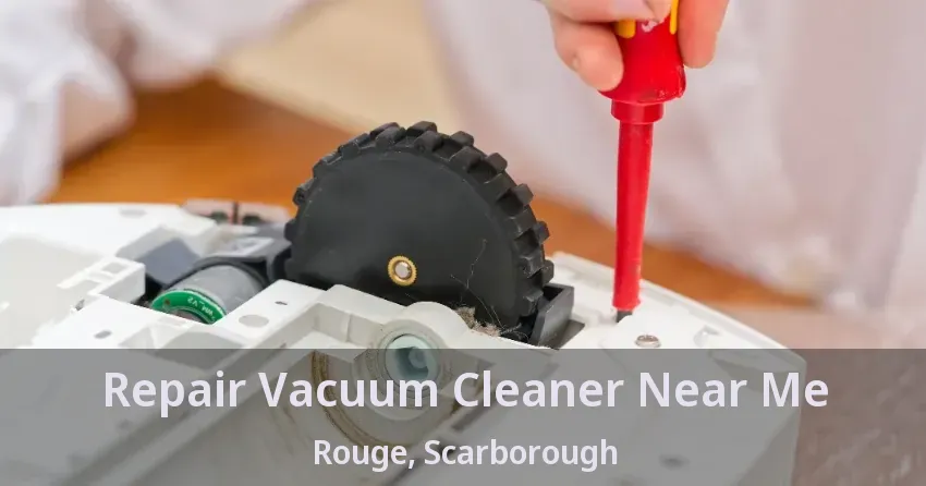 Repair Vacuum Cleaner Near Me Rouge, Scarborough - ON