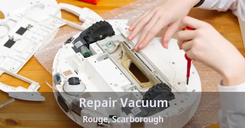 Repair Vacuum Rouge, Scarborough - ON