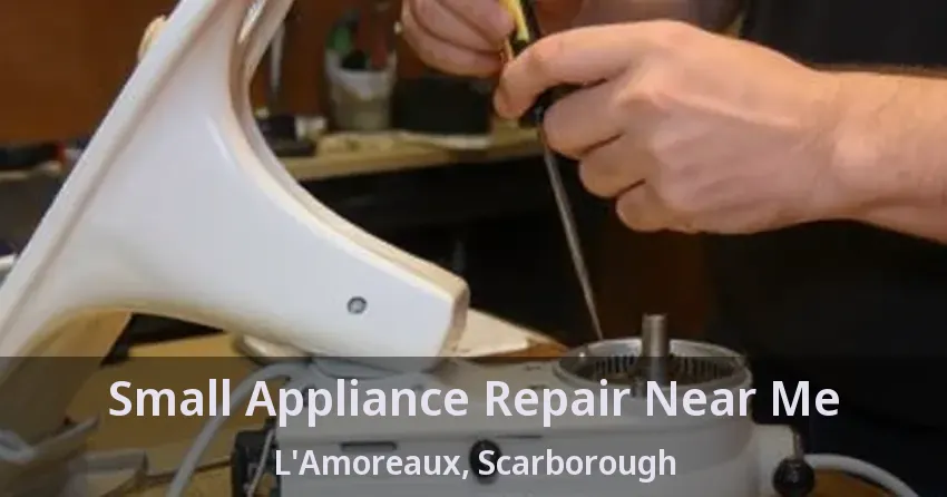 Small Appliance Repair Near Me L'Amoreaux, Scarborough - ON