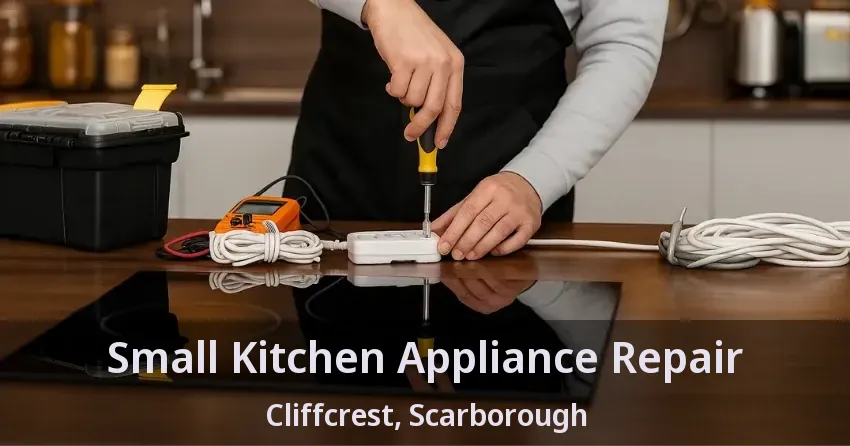 Small Kitchen Appliance Repair Cliffcrest, Scarborough - ON