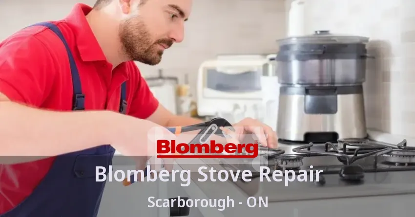 Blomberg Stove Repair Scarborough - ON