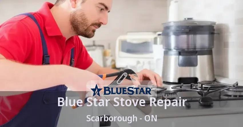 Blue Star Stove Repair Scarborough - ON