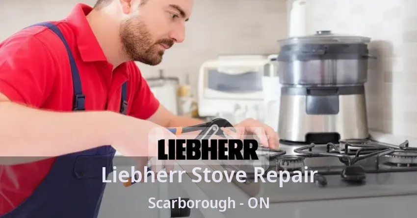 Liebherr Stove Repair Scarborough - ON