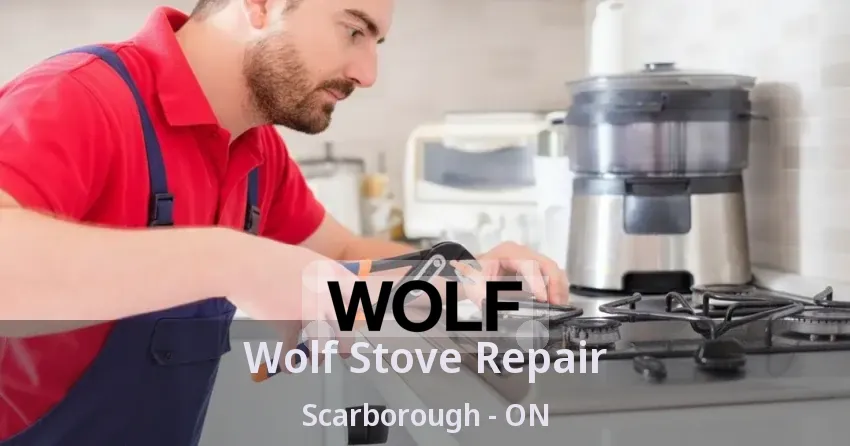 Wolf Stove Repair Scarborough - ON