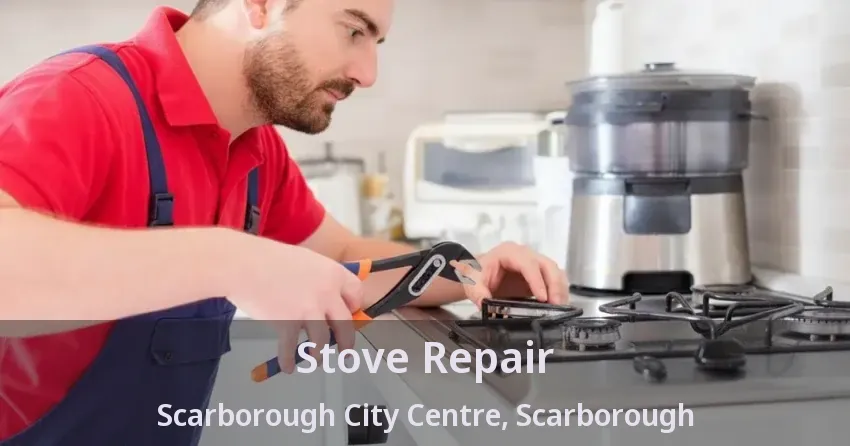 Stove Repair Scarborough City Centre, Scarborough - ON