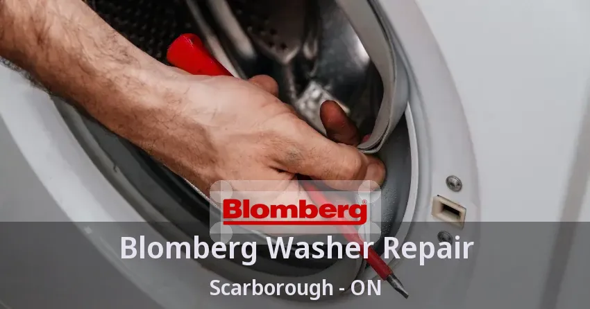 Blomberg Washer Repair Scarborough - ON