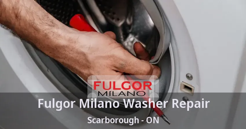 Fulgor Milano Washer Repair Scarborough - ON