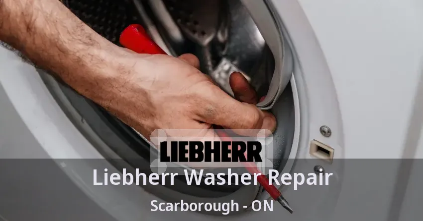 Liebherr Washer Repair Scarborough - ON