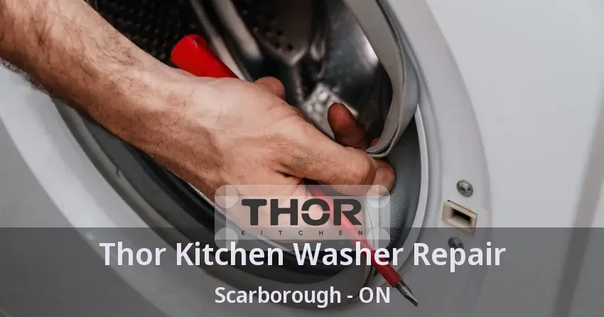 Thor Kitchen Washer Repair Scarborough - ON